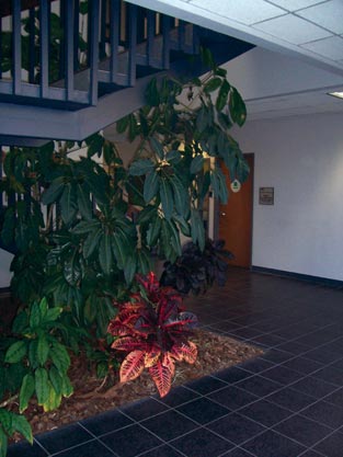 Available office space in El Paso