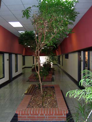 Available medical space in El Paso